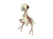 Item icon Carrion Companion.png
